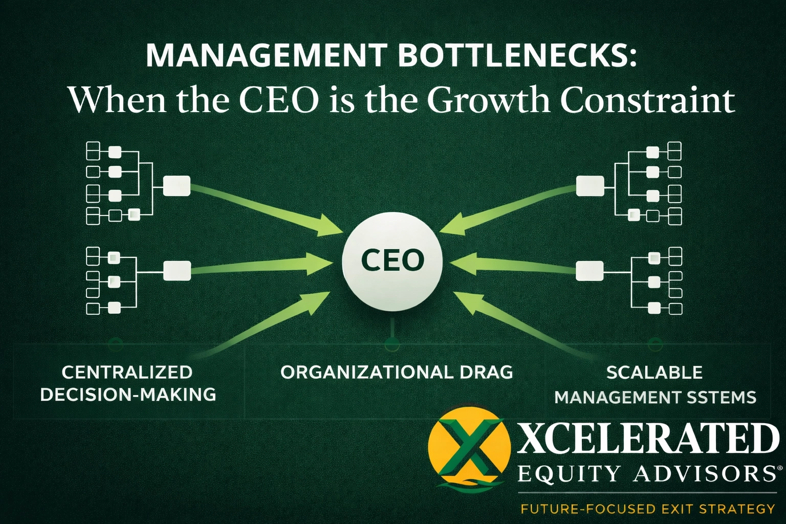 Management Bottlenecks: When the CEO is the Growth Constraint ywzqqgdxq1o